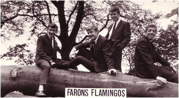 Farons Flamingoes